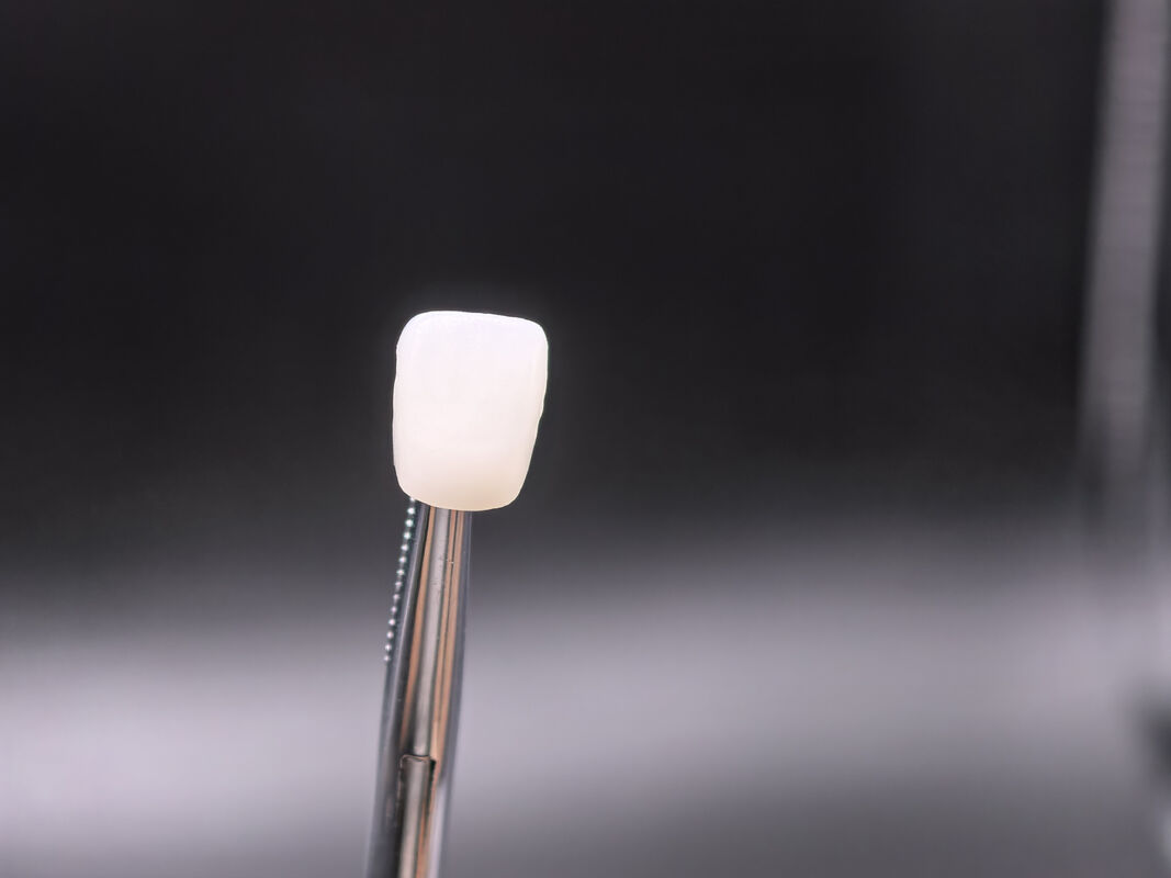 Blocco di Zirconia Dentale che Fornisce Alta Densità Dopo la Sinterizzazione e Bassa Solubilità Chimica per Applicazioni Dentali Durevoli