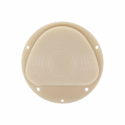 Amann Girrbach PMMA Dischi Dental D Shape Block Materiale da laboratorio in resina